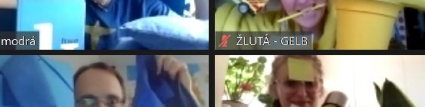 Online pracovní setkání jazykových animátorů